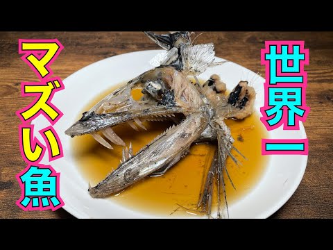 猫も食わない深海魚「ミズウオ」を拾って食べる（※オニプレートトカゲも拾うしタルマワシも食べる）