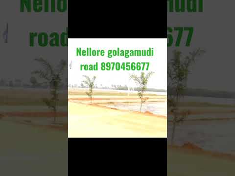 Dharshan county open plots@nellore ph 8970456677.#plotsnellore #plotsgolagamudi #villasplotsnellore