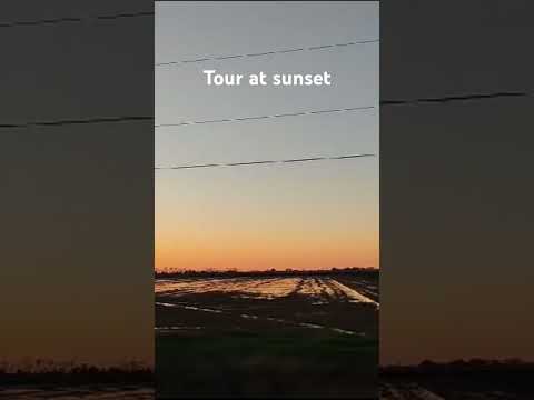 Tour at sunset #lifeinusa #lifestyle #tour