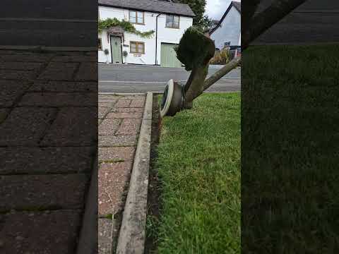 Super satisfying slo mo grass edging #slomo #satisfyingvideo #asmr #lawn #samsungs24ultra #work