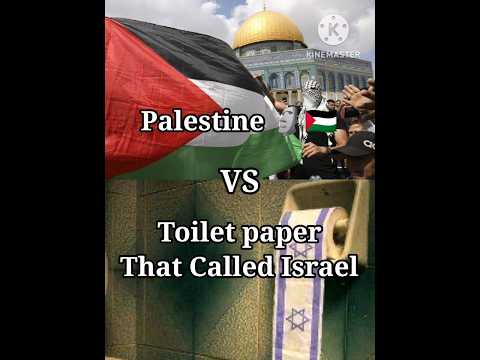 Palestine vs Toilet paper