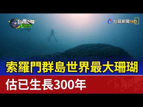 索羅門群島世界最大珊瑚 估已生長300年