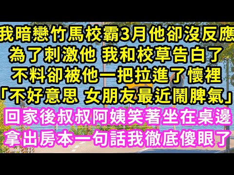 我暗戀竹馬校霸3月他卻沒反應,為了刺激他 我和校草告白了,不料卻被他一把拉進了懷裡「不好意思 女朋友最近鬧脾氣」回家後叔叔阿姨笑著坐在桌邊拿出房本一句話我徹底傻眼了#甜寵#灰姑娘#霸道總裁#愛情#婚姻