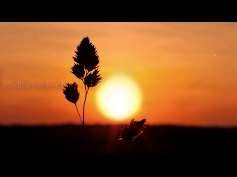 Relaxing Classical Music For Stress Relief Santoor , Best Classical Music for Relaxation