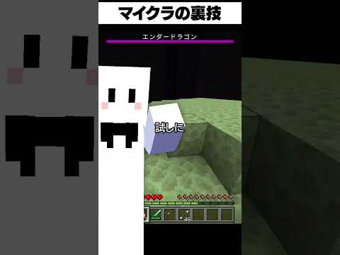 知らないと損する裏技【マイクラ】【かいと】