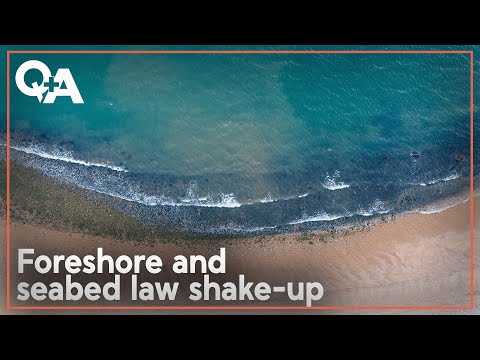 Explained: The Govt's foreshore and seabed law shake-up | Q+A 2024