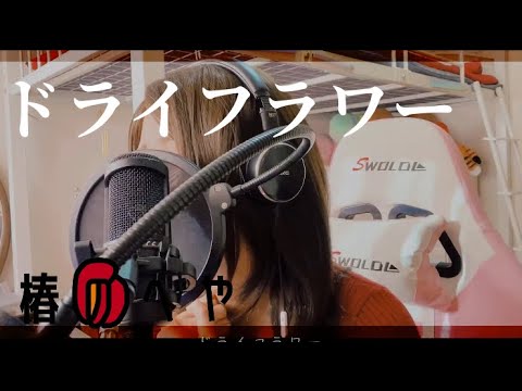 ドライフラワー/歌ってみた ver.椿