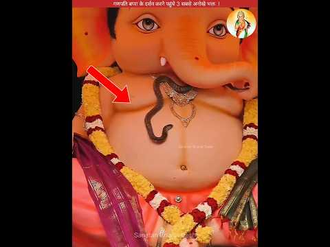 गणपति बप्पा के दर्शन करने पहुंचे 3 सबसे अनोखे भक्त #sanatanbharatdesh #ganpatibappa #shorts