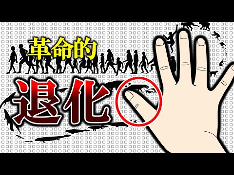 【700万年役立たずだった部位】親指だけ太く短い理由【ゆっくり解説】【雑学】