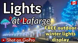 185🇨🇦 Foggy night at Lafarge Lake | FREE outdoor Christmas attractions at Lights at Lafarge