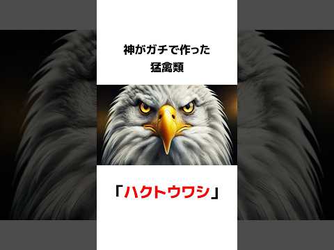 【雑学】鳥類最強！ハクトウワシの雑学【ゆっくり解説】#雑学 #動物 #豆知識 #おすすめ #shorts