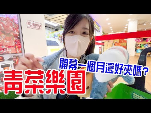 【娃娃機挑戰Ep.19】開幕一個月後會變難夾嗎🤣 ｜高雄｜仁武｜青菜樂園 恩恩老師@EanTV