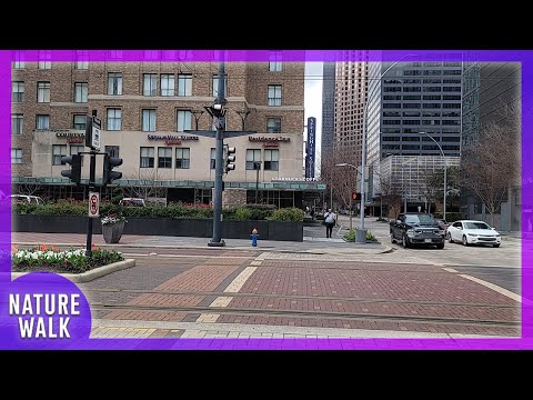 Houston city life is very calming and soothing (City Walk Visualizer)