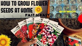 How To Grow Flower Seeds Fast (With Update)