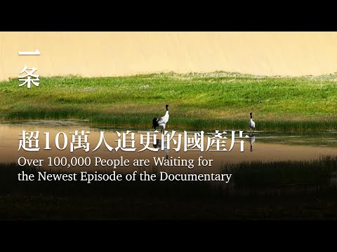 [EngSub[  China is Going to Build National Parks Covering 1/9 of Its Land 中國1/9國土將成國家公園，絕美畫面首次曝光