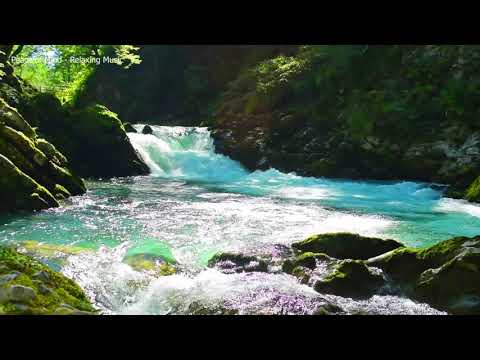 Relaxing Nature Sound With Flute Music l Instrumental Flute Music l Stress Relief 4K Video Ultra HD