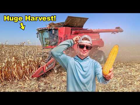 I Made $100,000 In A Day On My Farm!