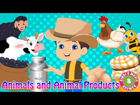 Animals & Animal Products | Educational Rhymes | Bindi's Music & Rhymes