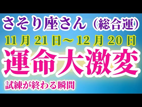 【蠍座】 2024年11月21日から12月20日までのさそり座の運勢。星とタロットで読み解く未来 #蠍座 #さそり座