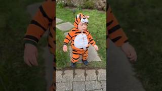 Hello Little Tiger 😍 #shorts #cosplay #parentingvlog #shortsfeed