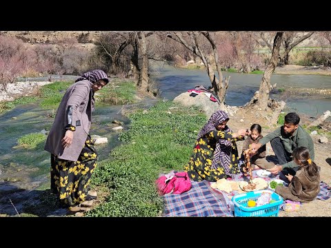 Family Picnic with Zainab: Delicious Grilled Chicken Recipe .2024