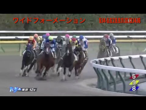 2023/2/12 東京競馬12レースで大穴からリハビリしてみたら、ムフフな結果に！？