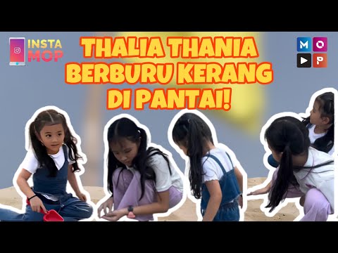 INSTAMOP | THALIA THANIA BERBURU KERANG DI PANTAI!