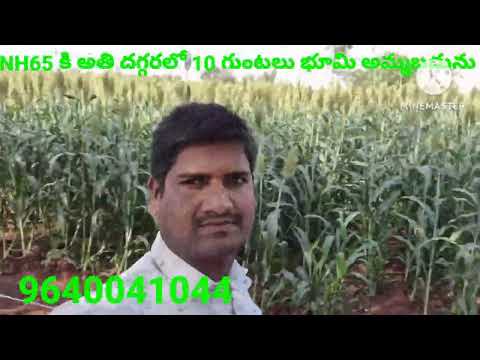 #NH65 #10 #gunta #landforsale #telangana #agriculture #farmhous #guesthouse #hyderabad #9640041044