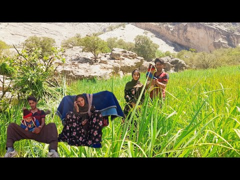 Embraced by Nature: Building a Nomadic House in Iran's Lush Forests 🍃🌲🏠