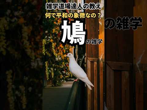 何で平和の象徴なの？鳩が平和の象徴になった理由に関する面白い雑学  #雑学