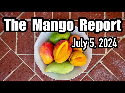 The Mango Report- July 5, 2024