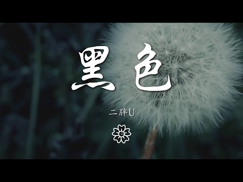 二胖u（王訫） - 黑色『那自命不凡的沉默』【動態歌詞Lyrics】