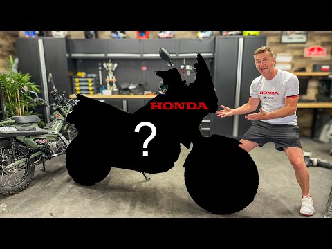 I BOUGHT A New HONDA but It's NOT What You Think!