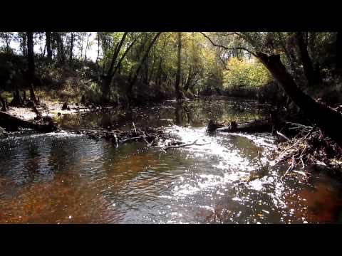 A Moment of Zen -Town Creek in Old Sparta, NC