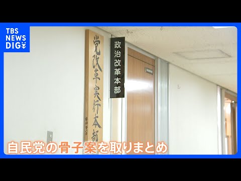 自民党、“政治とカネ”問題の年内決着は？　政治改革の骨子案とりまとめ｜TBS NEWS DIG