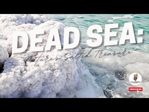 Dead Sea Nature's Salted Treasure