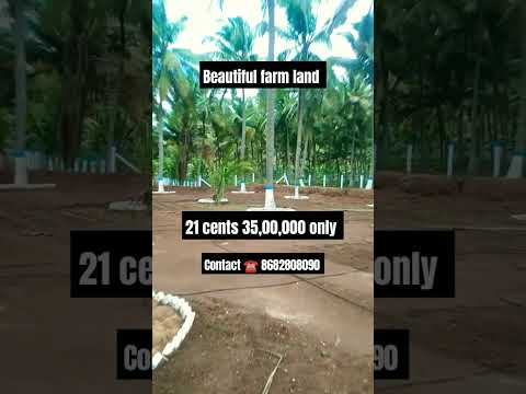 #farmlandsale #lowbudget #investment #property #tredingshorts  #coimbatore contact ☎️ 8682808090