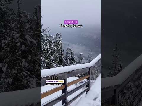 Sea To Sky Gondola in Squamish - Vancouver Page