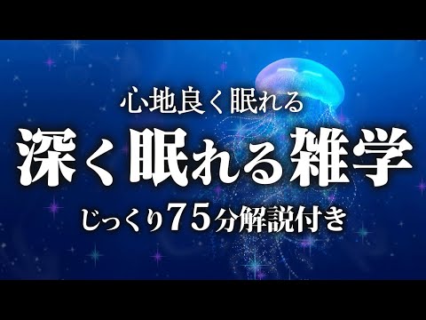 【睡眠用 雑学】深く眠れる雑学【リラックス】