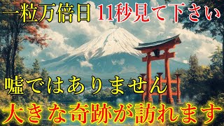 【一粒万倍日】無理してでも11秒見て下さい。大きな奇跡が訪れ、あなたの問題が解決します！願いが叶う開運波動をお受け取り下さい。運気上昇・金運上昇・浄化・厄払い【11月17日(日)大開運祈願】