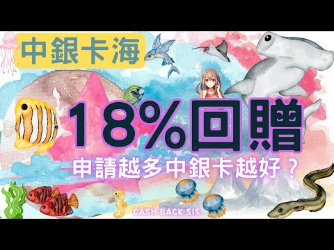 中銀卡海如何做到高達18%回贈? 點解申請越多中銀卡越好? (附中文字幕) | HKCashBack 姐 #中銀卡海 #中銀狂賞派 #bocpay