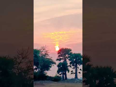 Apr❤️๓✿rǸÏǸＧ ÏǸdÏA#villagelife #nature #video #trending #trendingshorts