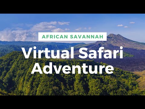 Virtual Safari Adventure: A Journey Through the African Savannah