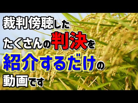 【作業用】悪質ストーカーから食い逃げまで。作業用動画で刺さる判決を探そう #54