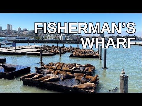 SAN FRANCISCO Walking Tour [4K] - FISHERMAN'S WHARF