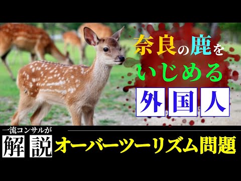 【奈良の鹿はいじめるな】僧侶社長のニュース解説