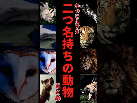 👆説明編はこちら👆二つ名持ちの動物たちの雑学　9割の人が知らない達人の短い教え #shorts #トリビア  #雑学  #動物