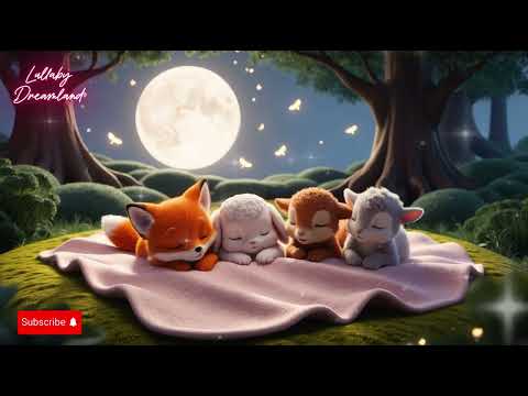 🦊Gentle Night Melodies🦊 | Soothing Sounds for Deep Relaxation