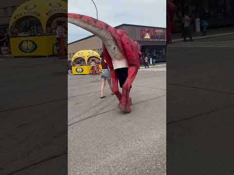 #dinosaursong #trex #nurseryrhyme #mascot #moosejaw #sidewalks #canada #walkingaround