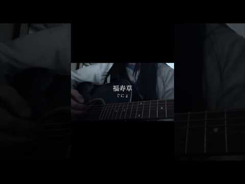 福寿草 / ぐにょ #弾き語り #歌ってみた #cover #福寿草 #ぐにょ #ボカロ